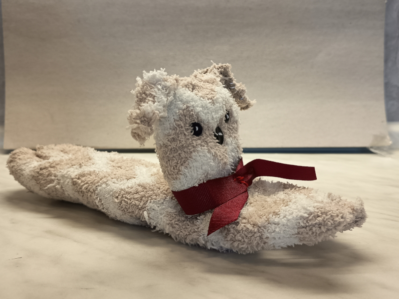 Fenntarthatósági Témanap – Új élet a régi anyagoknak!